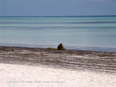 Beach walk, Zanzibar, DSC06845b